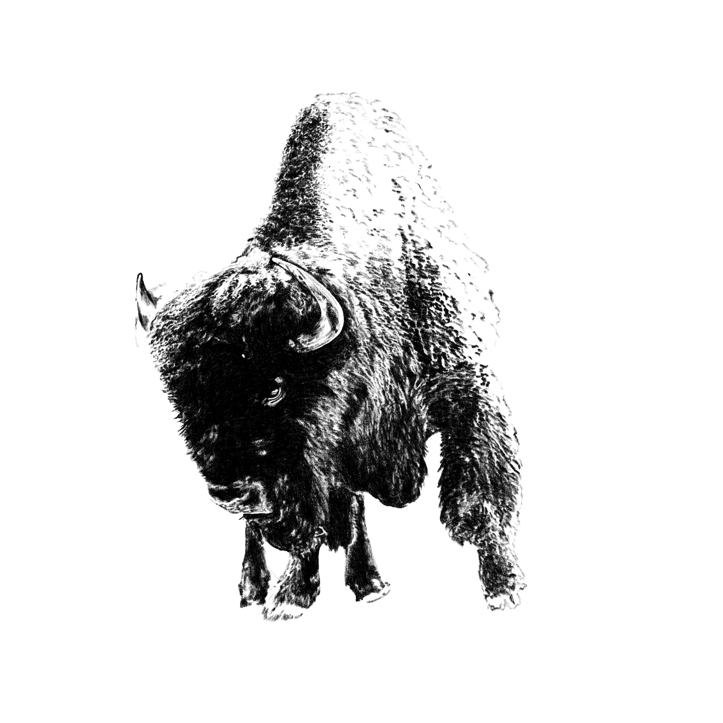 Leaning Buffalo 3” Die Cut Premium Sticker