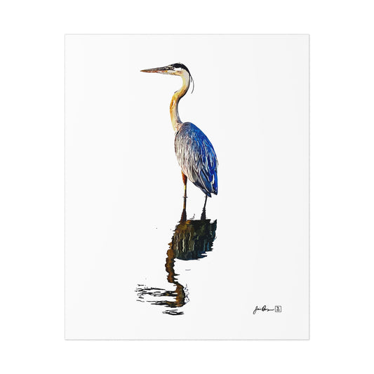 Blue Heron Print