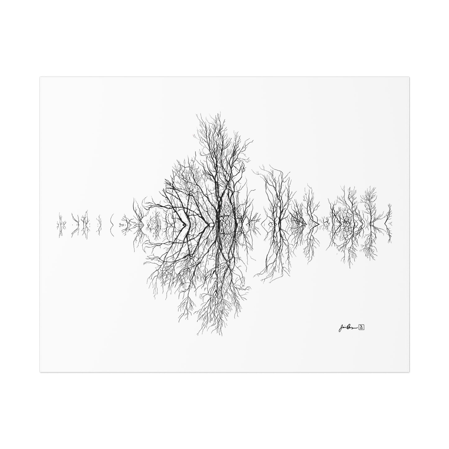 Reflections Print