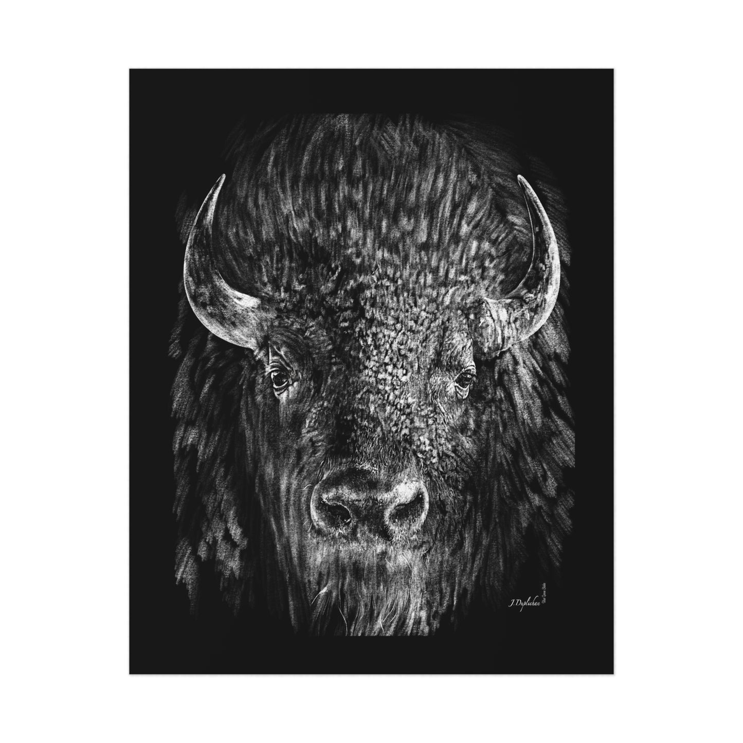 Big Buffalo Print