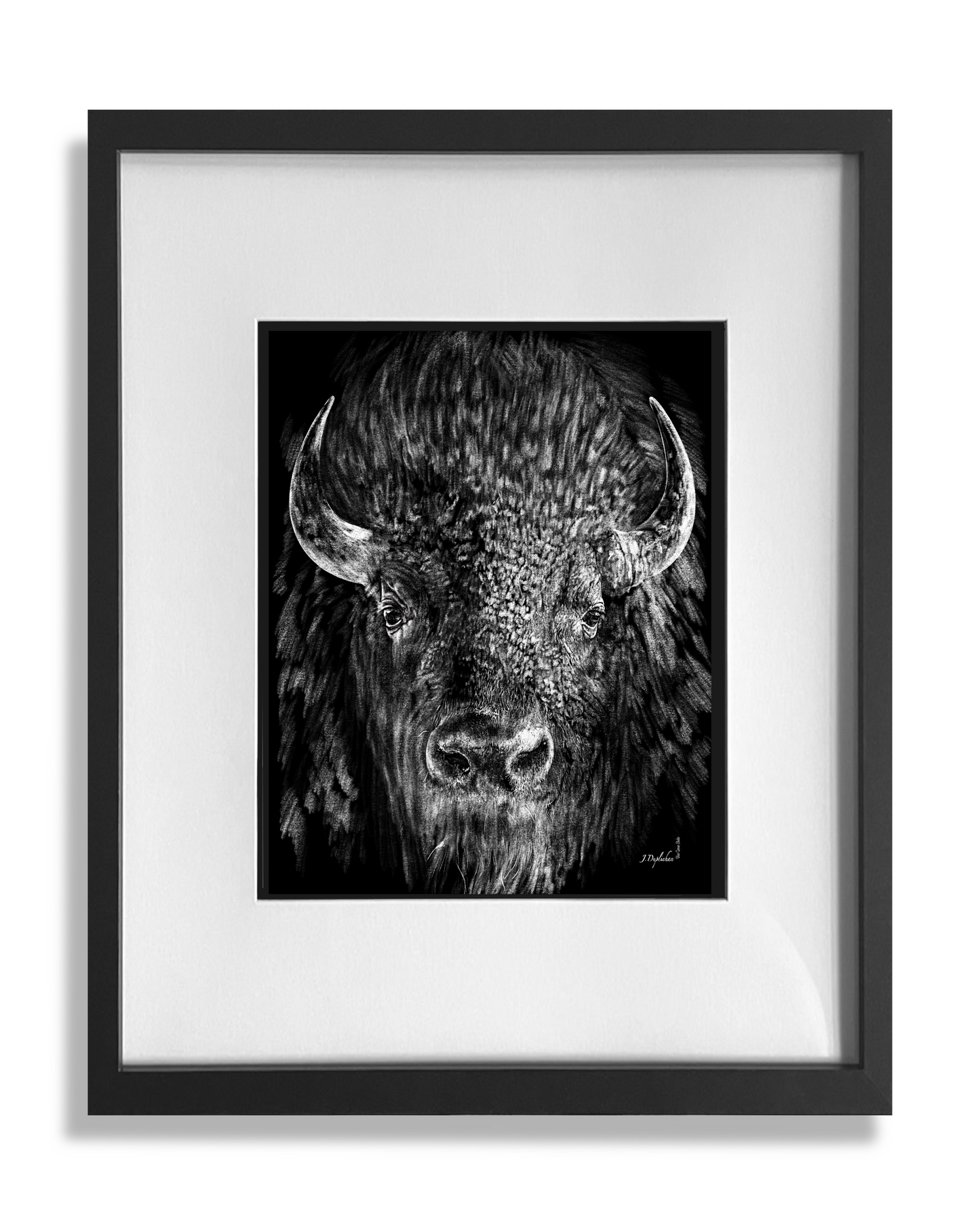 Big Buffalo print framed and matted