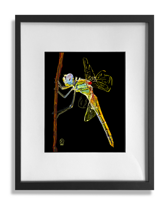 Dragonfly print framed and matted