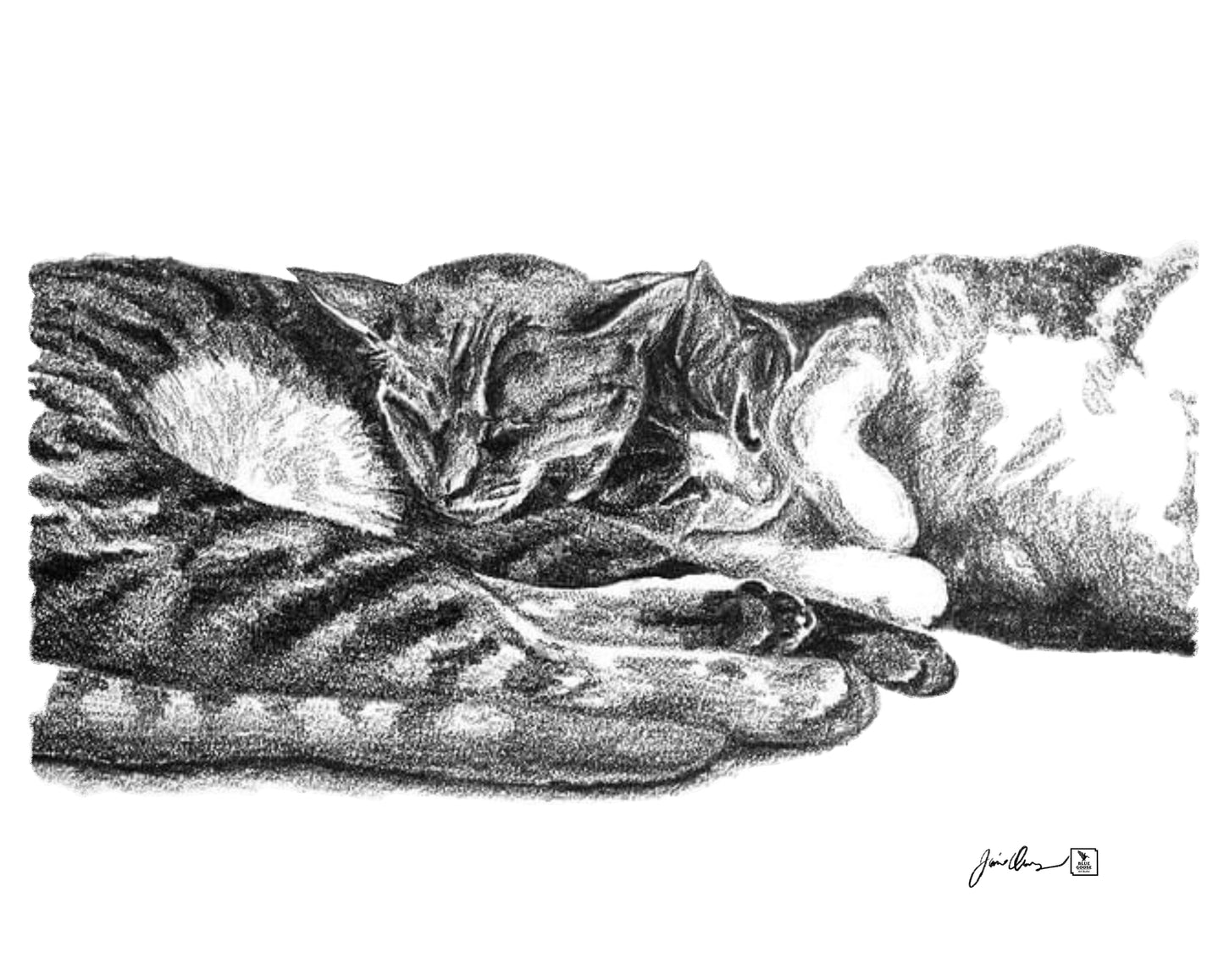 Pet portrait in pencil or chalk multi-media