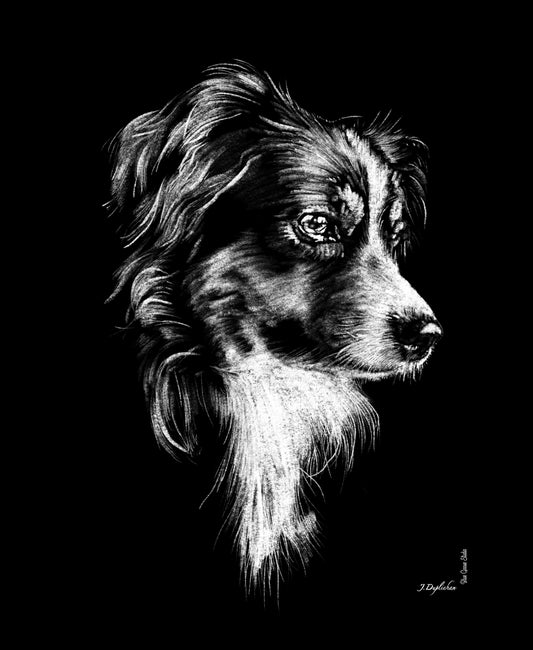 Pet portrait in pencil or chalk multi-media